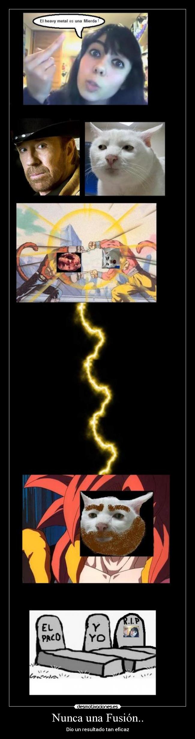 Nunca una Fusión.. -