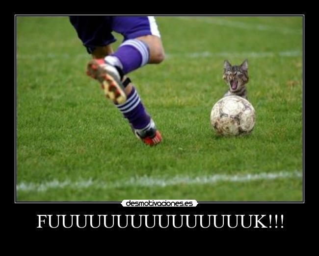 FUUUUUUUUUUUUUUUK!!! - 