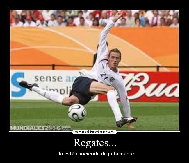 Regates... - ...lo estás haciendo de puta madre