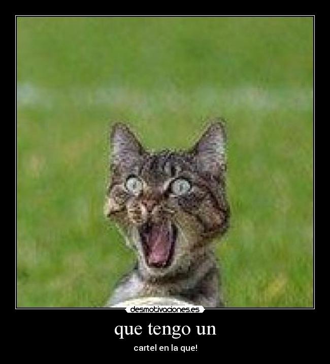 carteles gato desmotivaciones