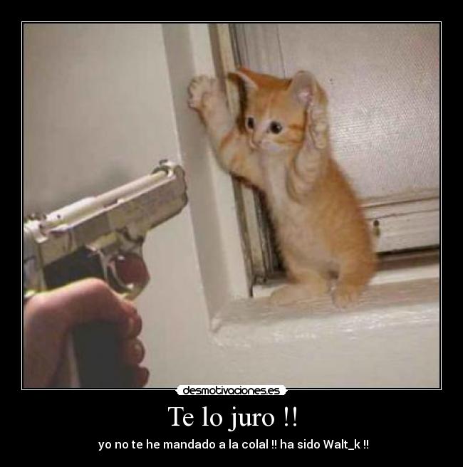 Te lo juro !! - 