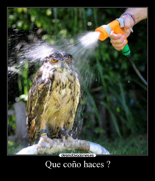 Que coño haces ? -