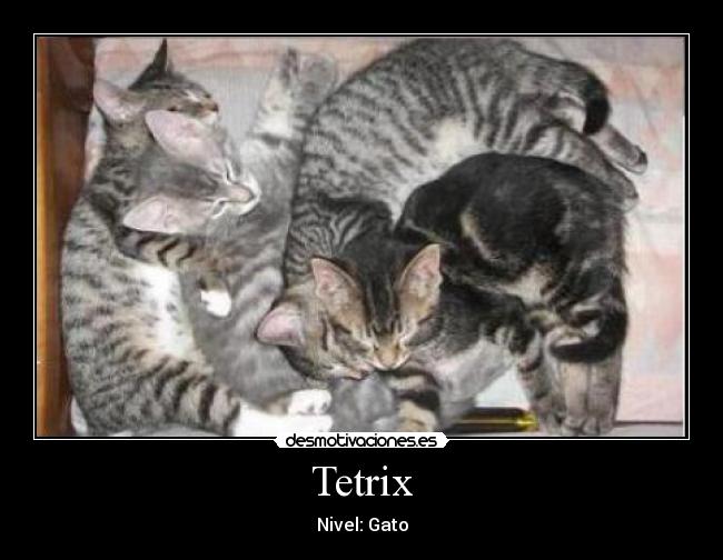 Tetrix - 