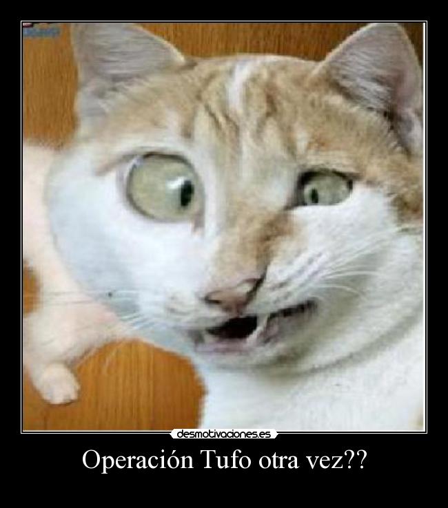 Operación Tufo otra vez?? -