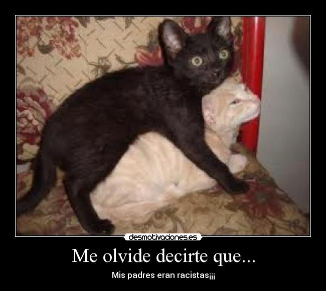 carteles  desmotivaciones