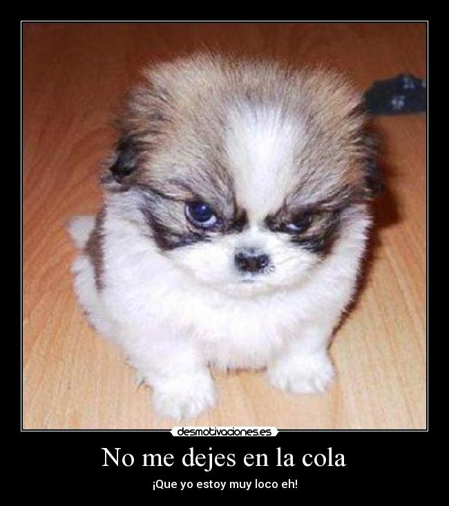 No me dejes en la cola - ¡Que yo estoy muy loco eh!