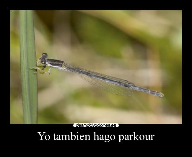 Yo tambien hago parkour - 