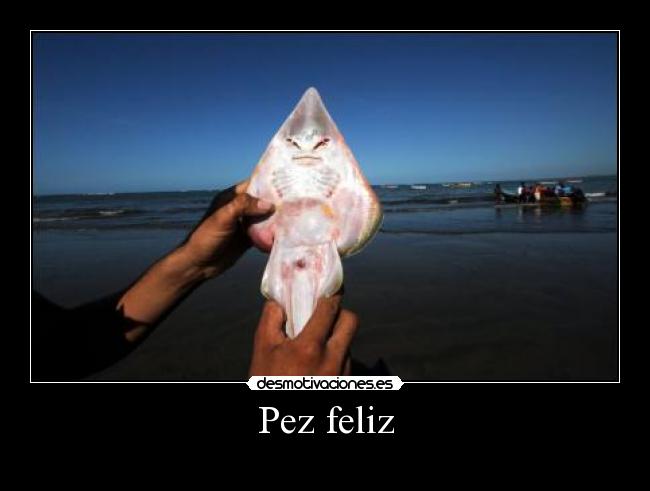 Pez feliz -