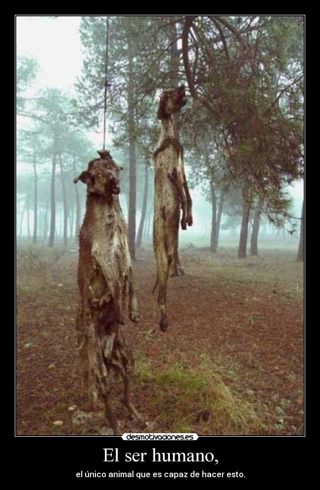 El ser humano, - el único animal que es capaz de hacer esto.
