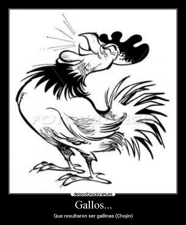 Gallos... - 