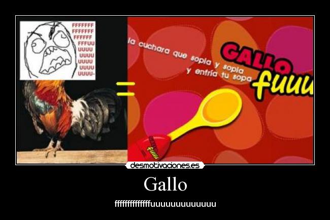 Gallo - 