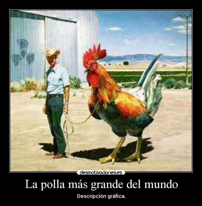 La polla más grande del mundo -