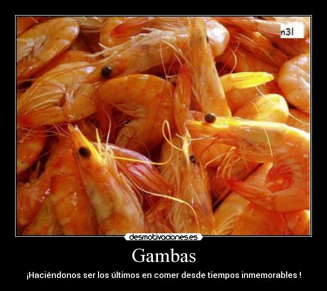 Gambas - ¡Haciéndonos ser los últimos en comer desde tiempos inmemorables !