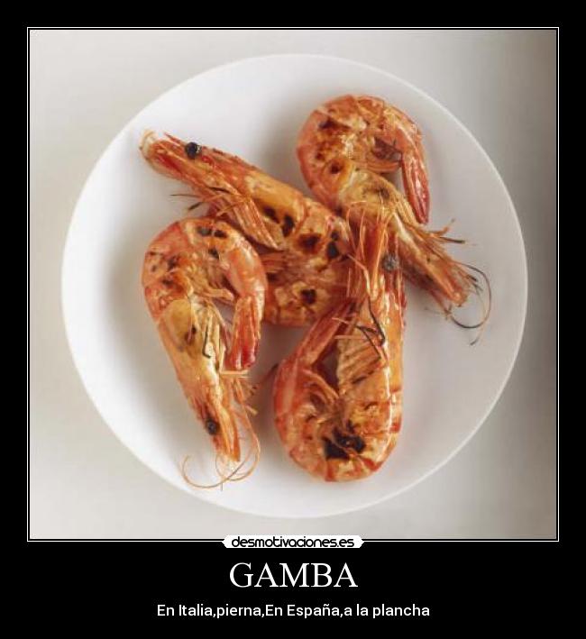 GAMBA - En Italia,pierna,En España,a la plancha