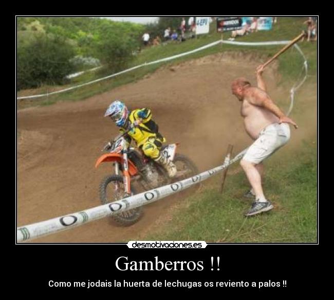 Gamberros !! - Como me jodais la huerta de lechugas os reviento a palos !!