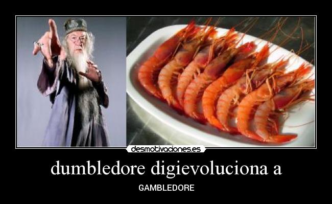 dumbledore digievoluciona a -