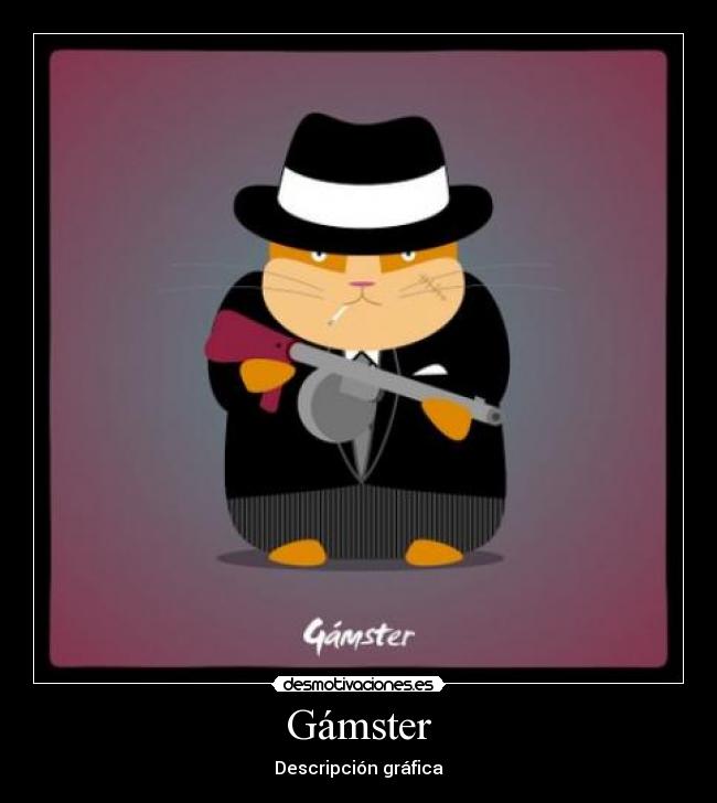 Gámster - 