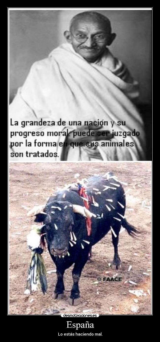 España - Lo estás haciendo mal.