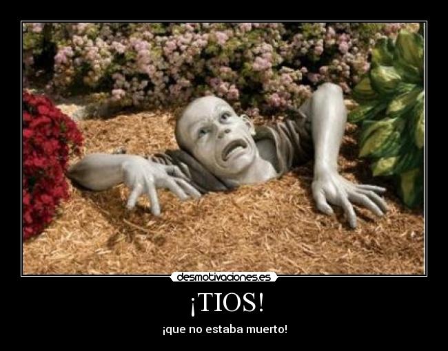 ¡TIOS! -