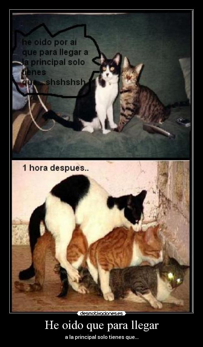 carteles como llegar principal desmotivaciones