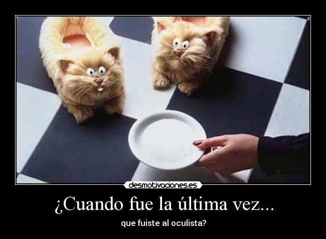carteles cuando fue ultima vez que fuiste oculista gatos zapatillas leche error comer comida fuck desmotivaciones