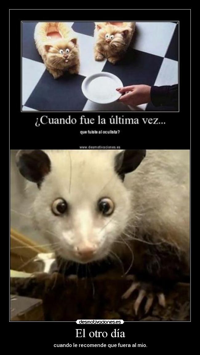 El otro día - cuando le recomende que fuera al mio.