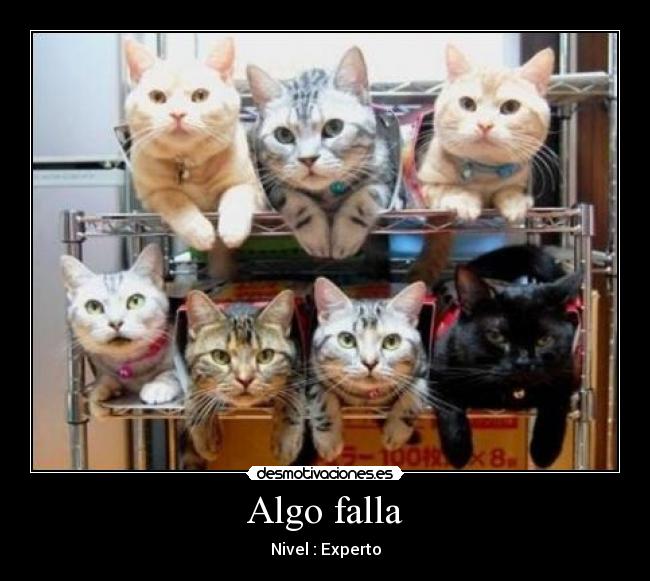 Algo falla -