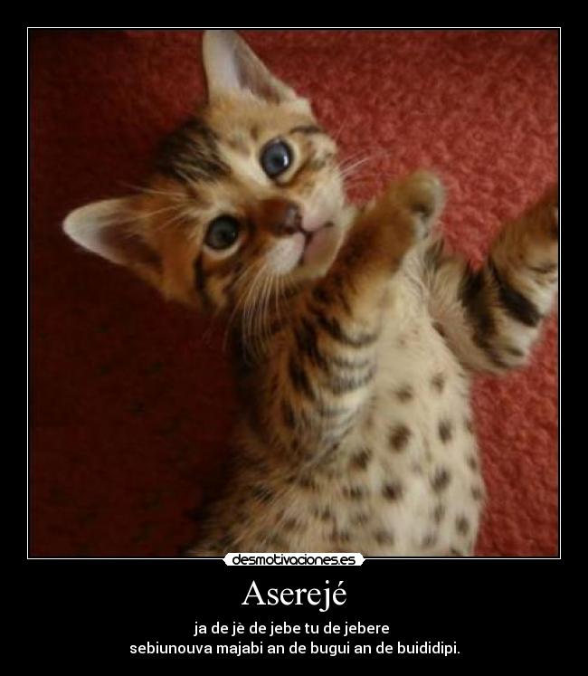 Imágenes y Carteles de ASEREJE Pag. 2 | Desmotivaciones