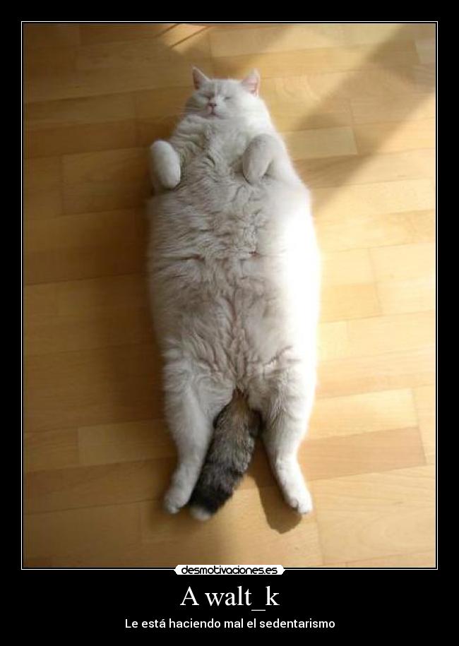 A walt_k - Le está haciendo mal el sedentarismo