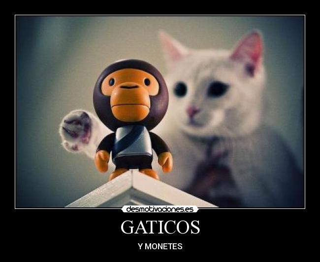 GATICOS -