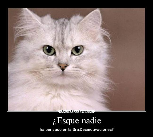 ¿Esque nadie -