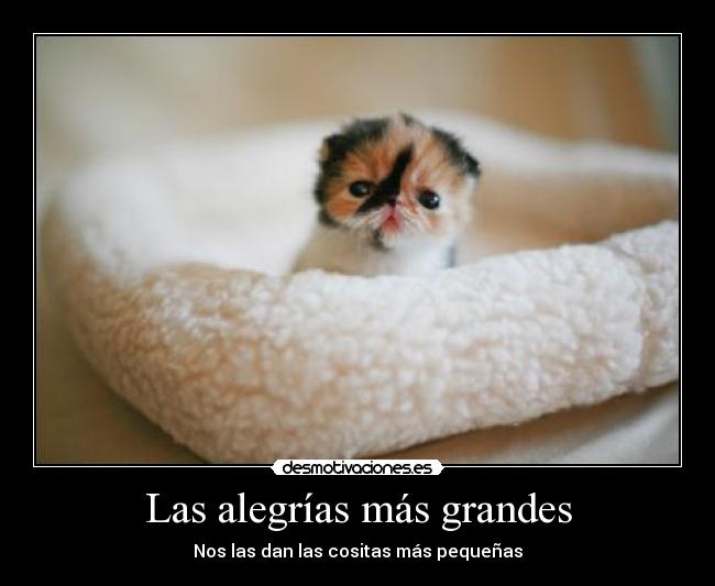 carteles las alegrias mas grandes nos las dan las cositas mas pequenas desmotivaciones