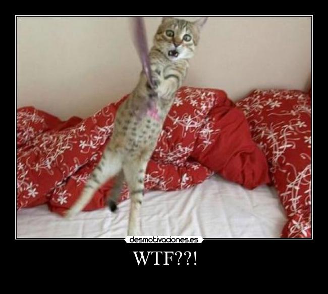 WTF??! - 