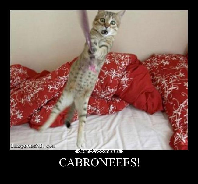 CABRONEEES! -