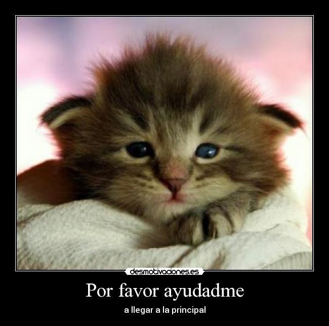 Por favor ayudadme -