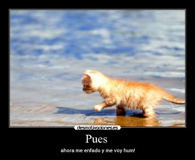 carteles mariuki desmotivaciones