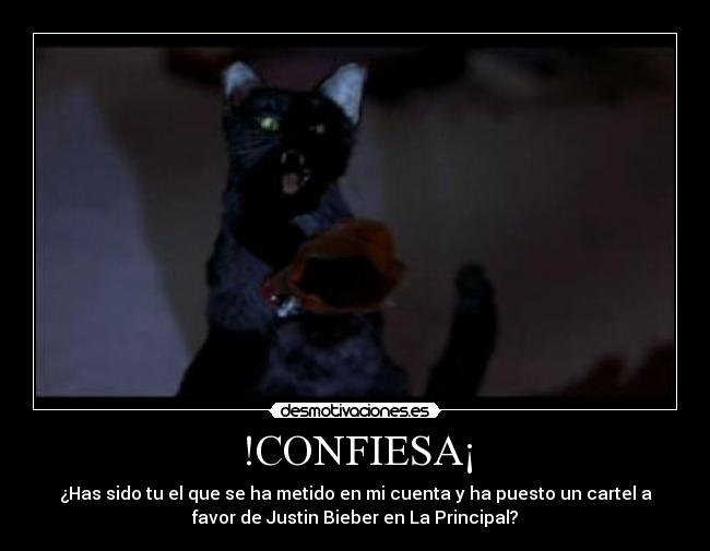 !CONFIESA¡ - 