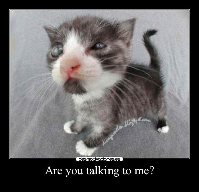 Are you talking to me? - 