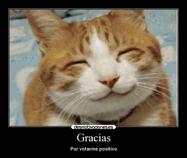 Gracias -