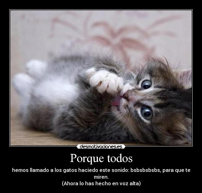 Porque todos - hemos llamado a los gatos haciedo este sonido: bsbsbsbsbs, para que te miren.
(Ahora lo has hecho en voz alta)