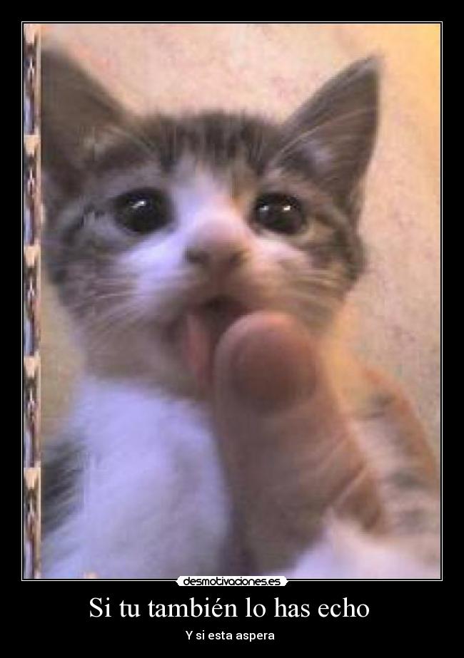 Si tu también lo has echo  - Y si esta aspera 