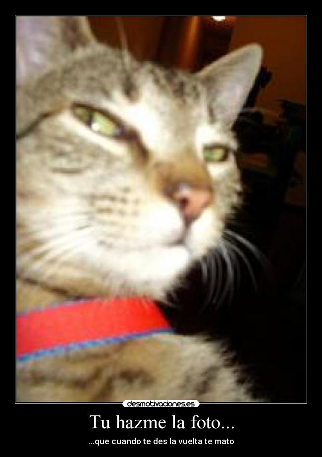 Tu hazme la foto... - ...que cuando te des la vuelta te mato