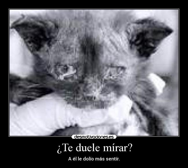 ¿Te duele mírar? -