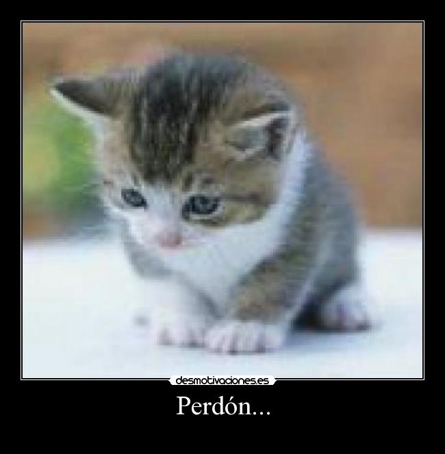 carteles gato_2 desmotivaciones