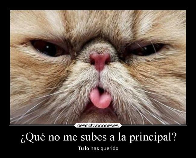 ¿Qué no me subes a la principal? - Tu lo has querido