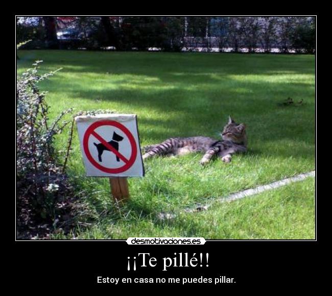 ¡¡Te pillé!! - Estoy en casa no me puedes pillar.