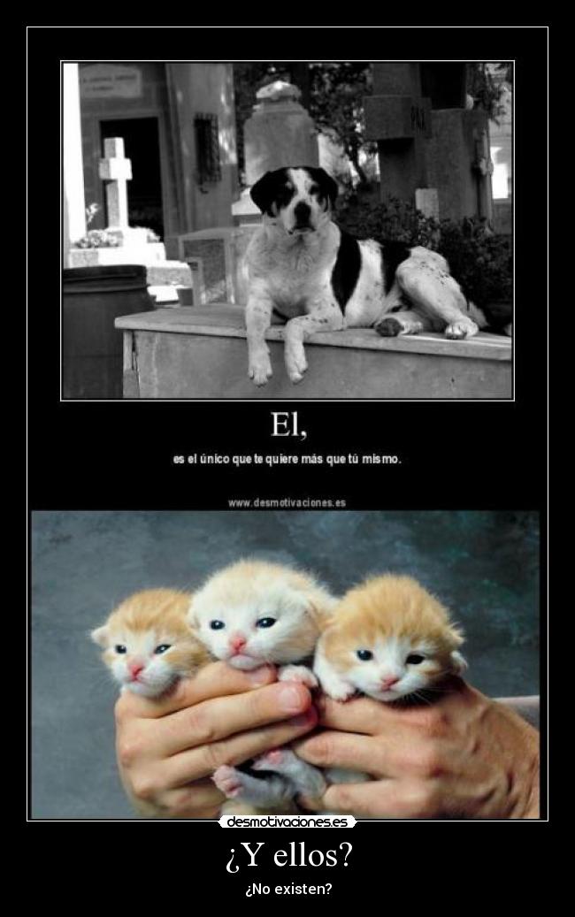 ¿Y ellos? - 