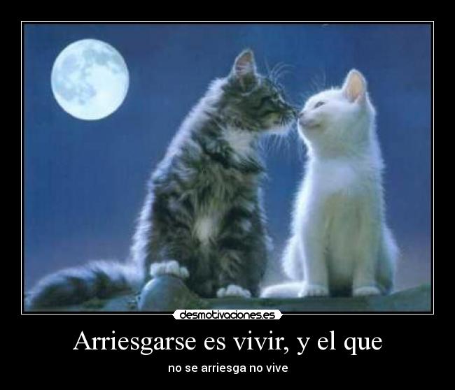Arriesgarse es vivir, y el que - 