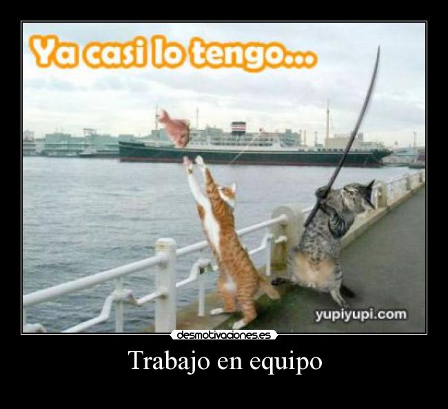 Trabajo en equipo -