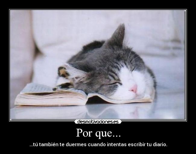 Por que... - 